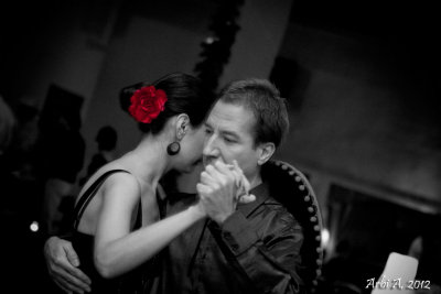 Red rose