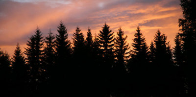 g2/28/742328/3/146971513.wEb3XmSv.jpg