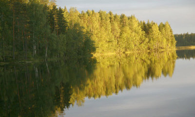 g2/28/742328/3/146975413.XSkiadSJ.jpg