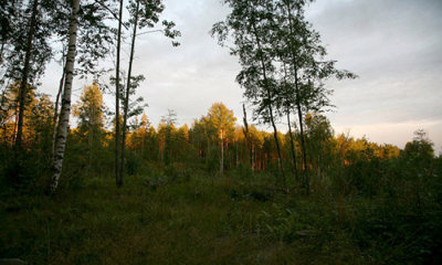 g2/28/742328/3/146977237.fnrQ7tVn.jpg