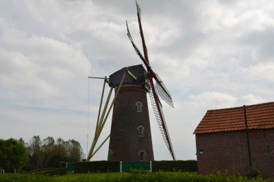 Vogelzicht
