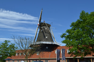 De Zwaluw