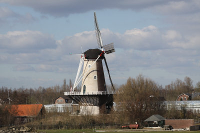 De Bol