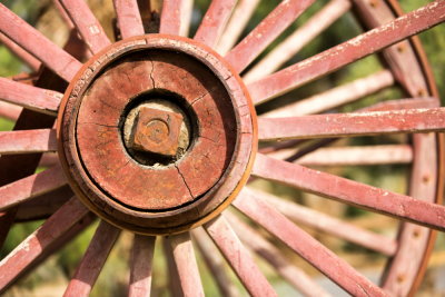 Cartwheel1.JPG