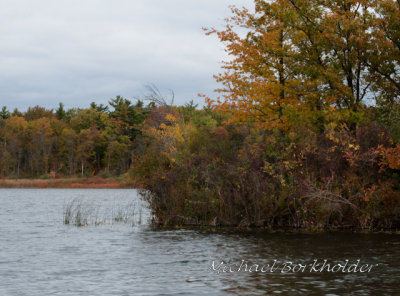 DS2_4411.jpg