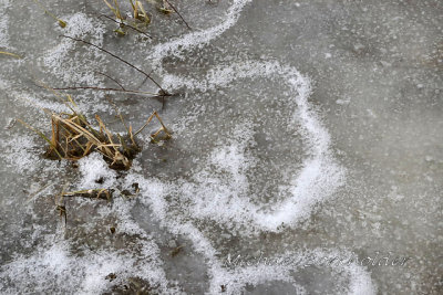 IceBubbles0439