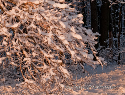 SnowyLoad5586