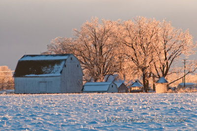 FarmIce5599