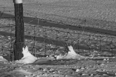 Fence5175