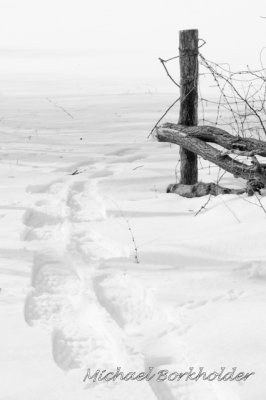 CornerTracks5433