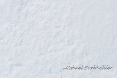 SnowRipples5440