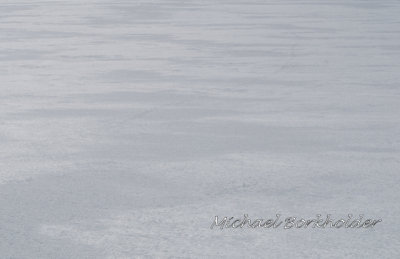 SnowRipples5444