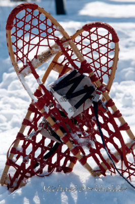 SnowShoes5474