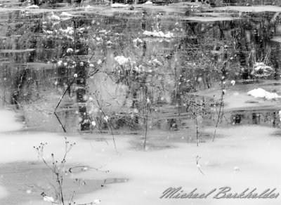 IceWater5185