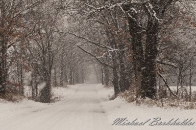 SnowyRoad5188