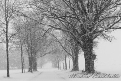 SnowyRoadBW5196