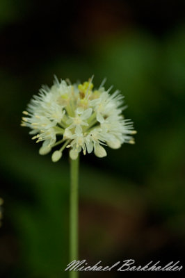 DS2_6828.jpg