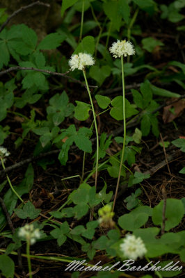 DS2_6839.jpg