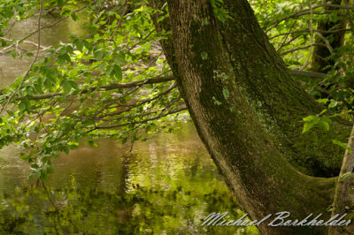 DS2_6842.jpg