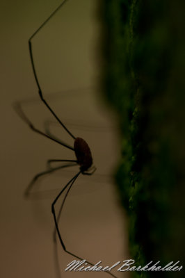 DS2_6909.jpg