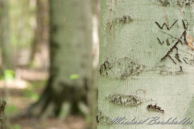 DS2_6969.jpg