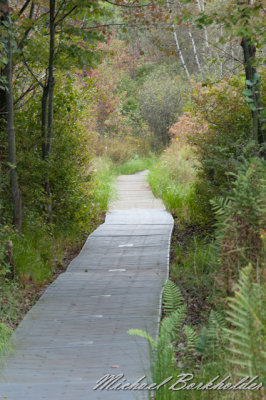 DS2_3799.jpg