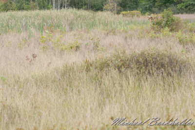DS2_3901.jpg