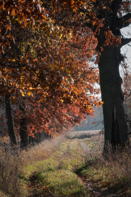 DS2_4714.jpg