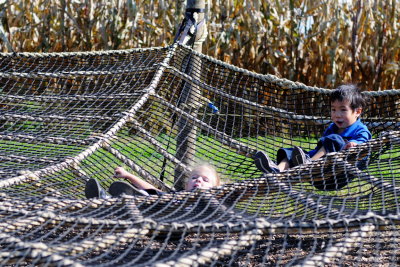 DSC_0496.JPG