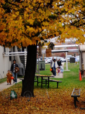 DSC_0784.JPG