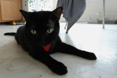 DSC_4965.jpg