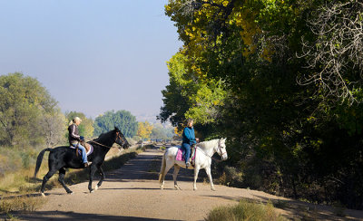 On the Bosque Trail