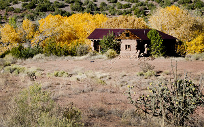 Pioneer Adobe