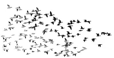 Flight into Morning