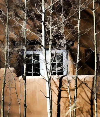 The House on Acequia Madre