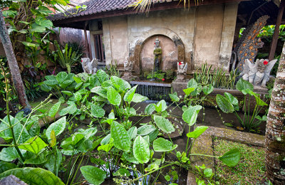 Garden Pond, Bebek Tepi Sawah Villas