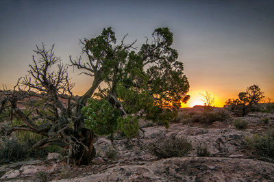 High Country Sunset