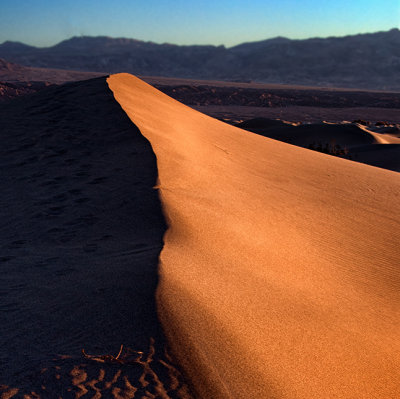 Dune Crest