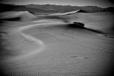 Footprints & Desert Textures