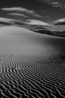 Dunes in a Mono Mood