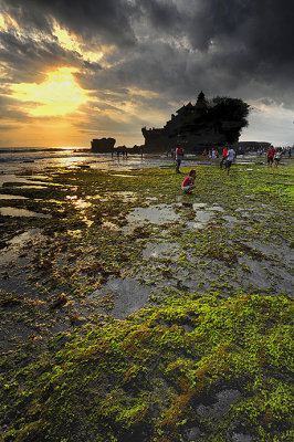Low-Tide at Sunset