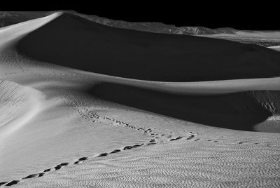 Dune Footpprints