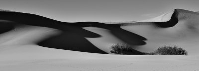 Dune Panorama #1