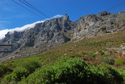 Table Mountain - DSC_7338.jpg