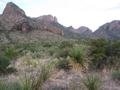 Pine Canyon_1667.JPG