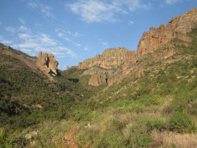 Pine Canyon_1679.JPG