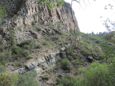 Pine Canyon_1707.JPG