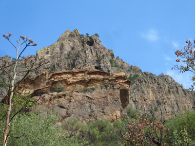 Pine Canyon_1726.JPG