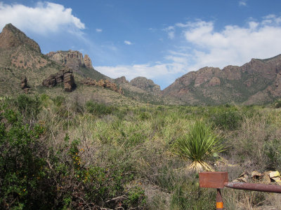 Pine Canyon_1773.JPG