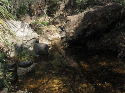 Cattail Falls_1775.JPG